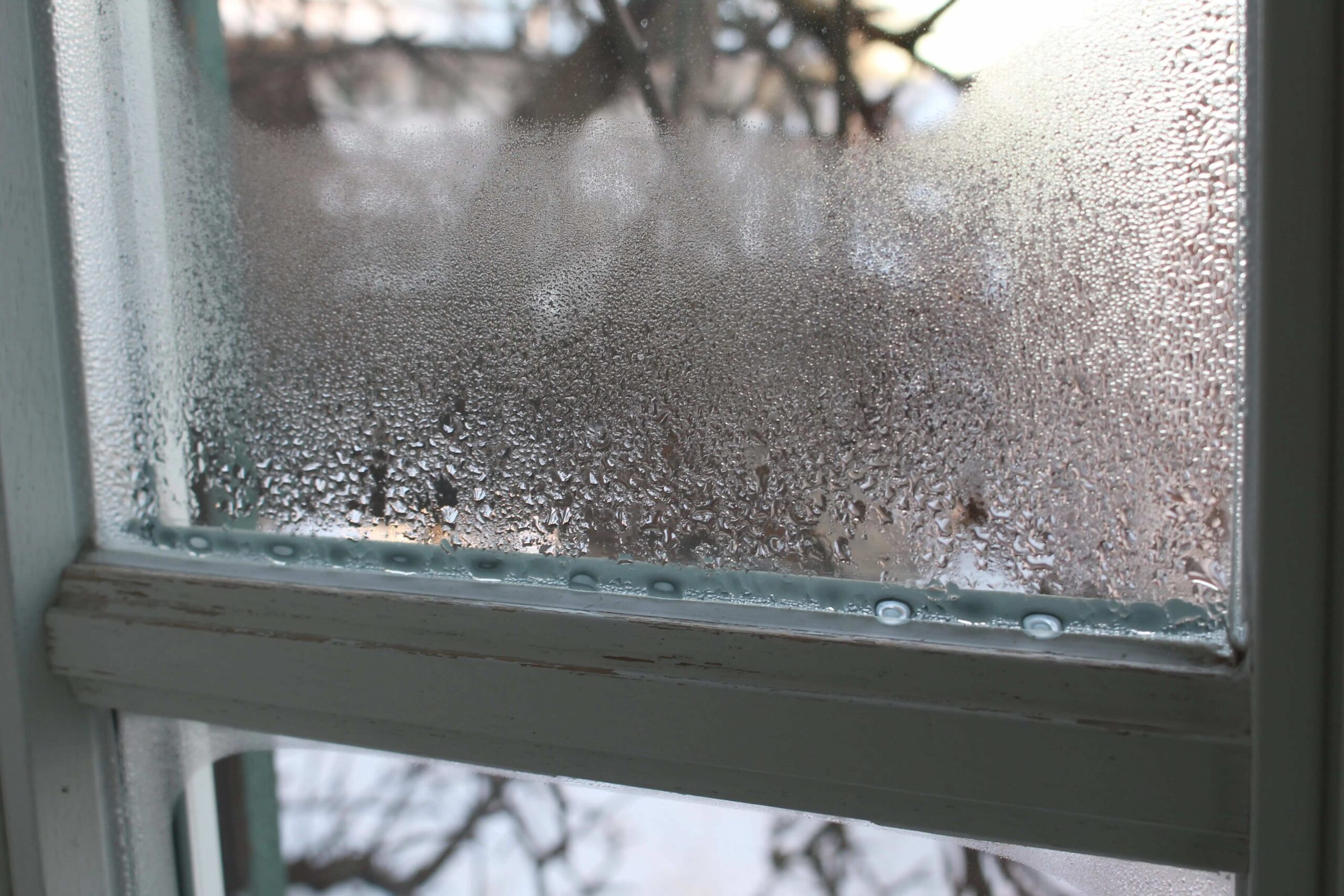 Featured image for “How to Find the Right Humidity Level In Your Home”